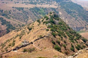 Golan_Heights_-_Gamla_view